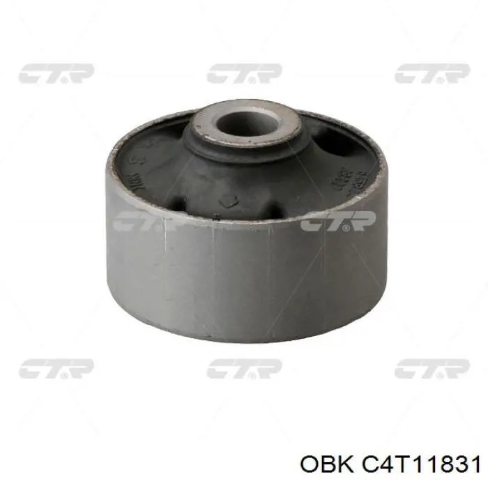 C4T11831 OBK пружина передня