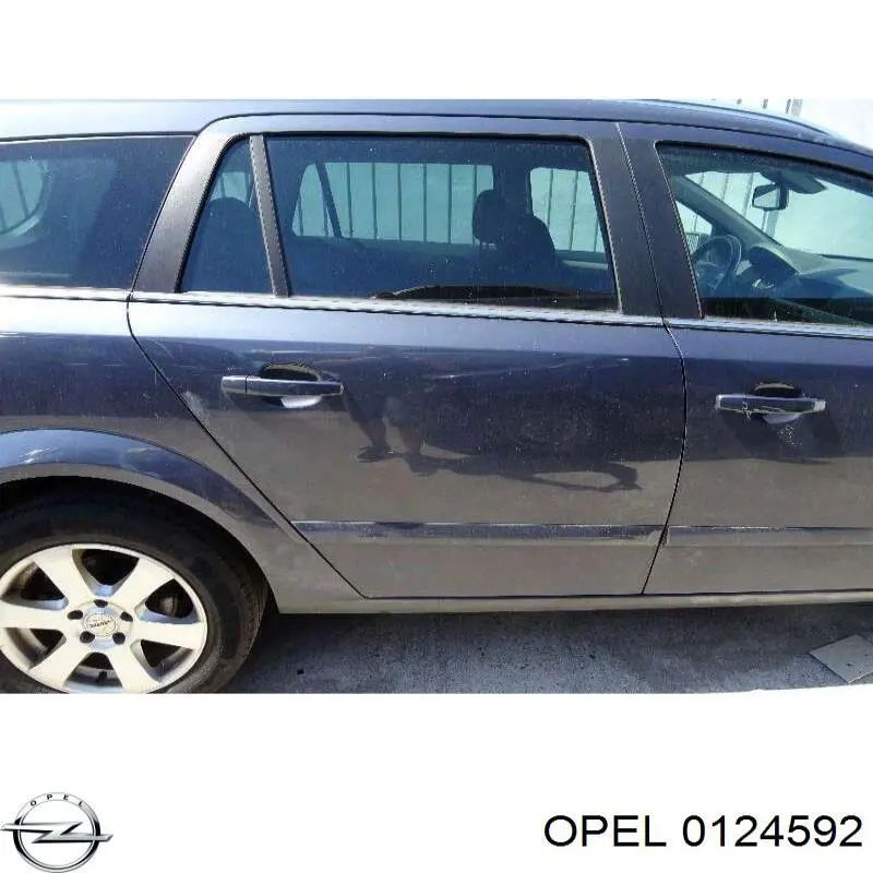 Двері задні, праві 13168046 General Motors