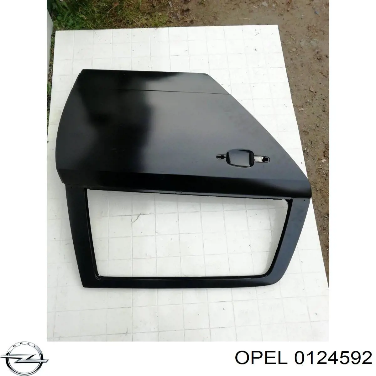Купити 13168046 Opel Двері задні, праві