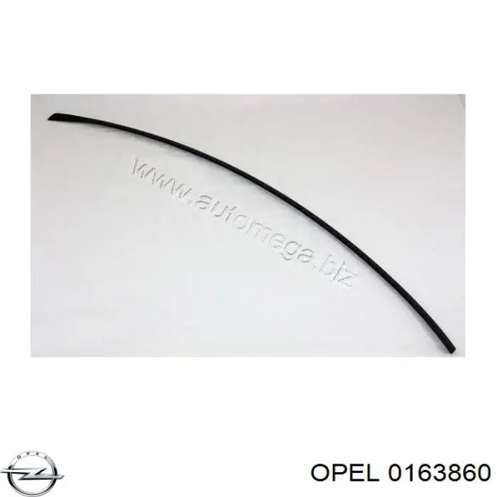 Купити 0163860 Opel Нижній молдинг лобового скла