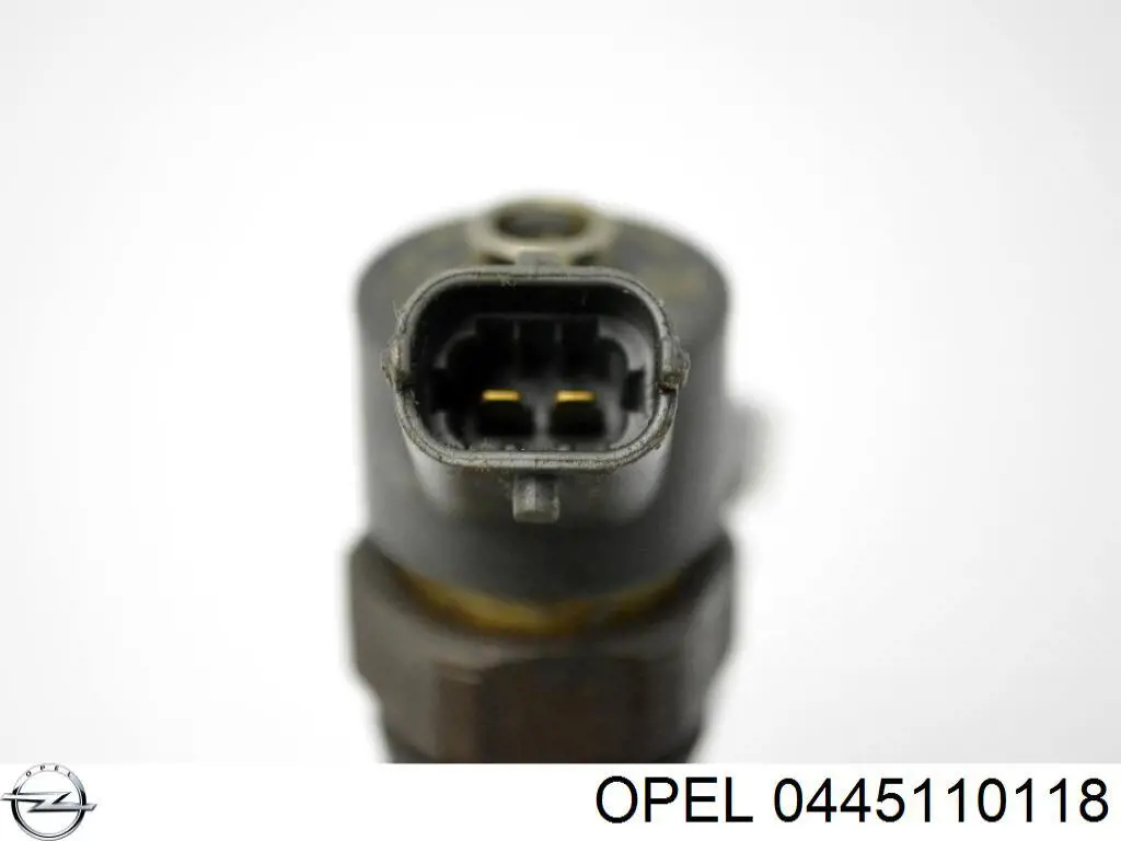 Паливні форсунки 8973000913 Opel
