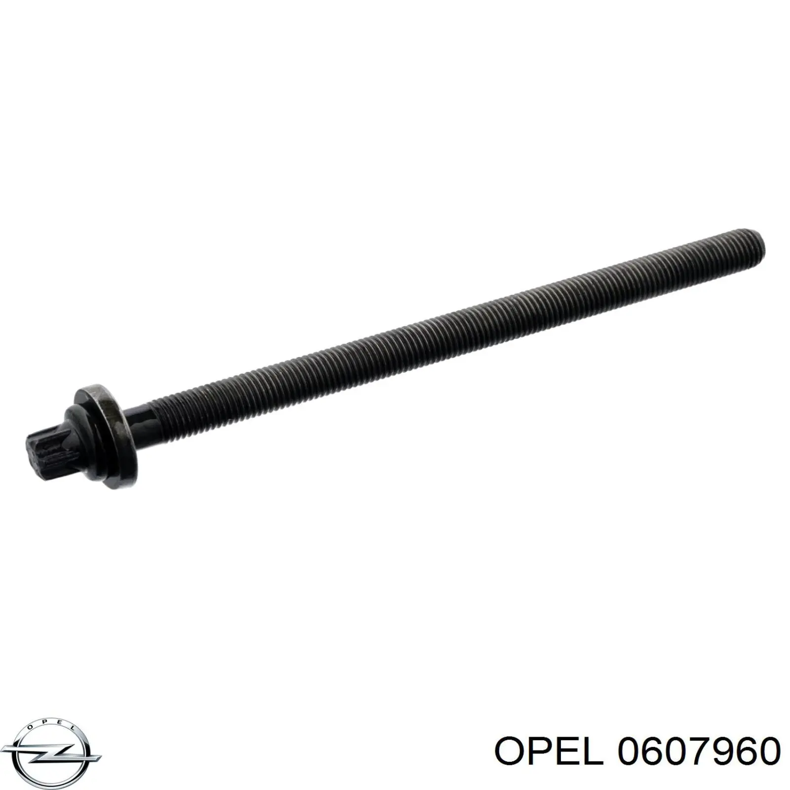 Болт головки блока циліндрів, ГБЦ Opel 0607960 ціна, від 2.36 USD