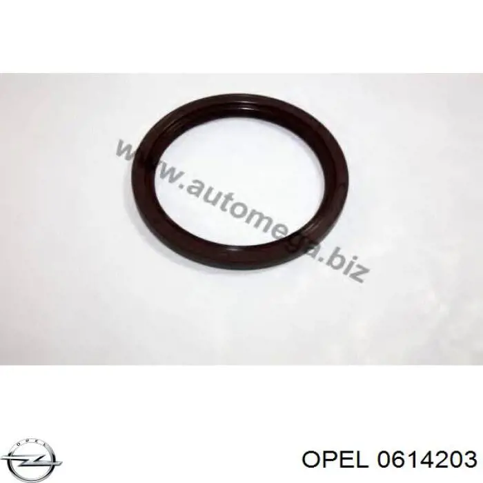 Купити 0614203 Opel Сальник колінвала задній