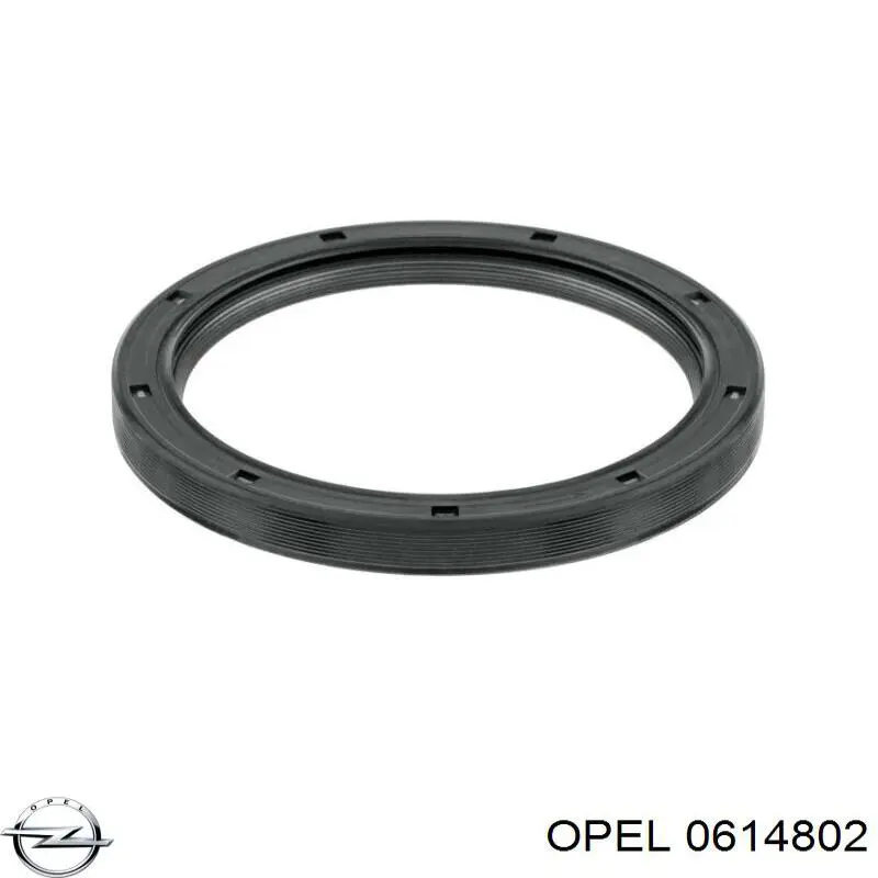 Сальник колінвала двигуна, задній Opel 0614802 ціна, від 24.75 USD