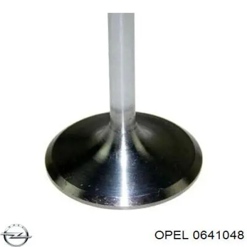 0641048 Opel клапан впускний
