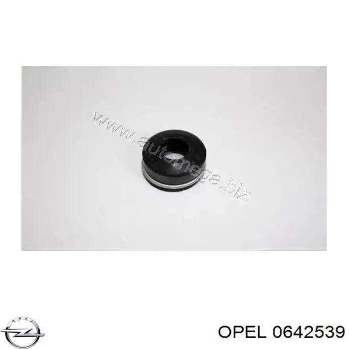 Сальник клапана (маслознімний), впуск/випуск, комплект на мотор Opel Astra G (F70) (Опель Астра)