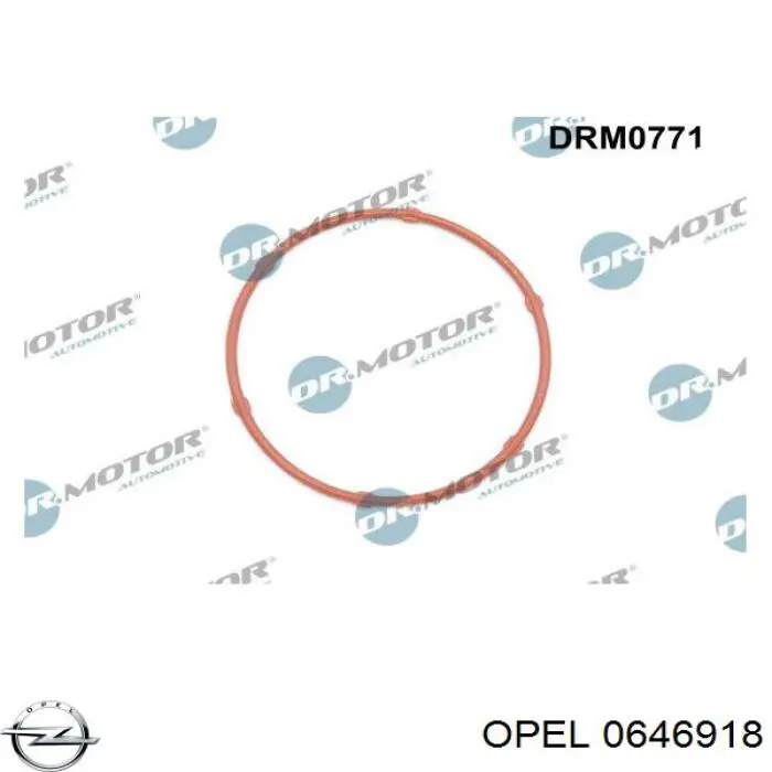 Купити 0646918 Opel Прокладка масляного насосу