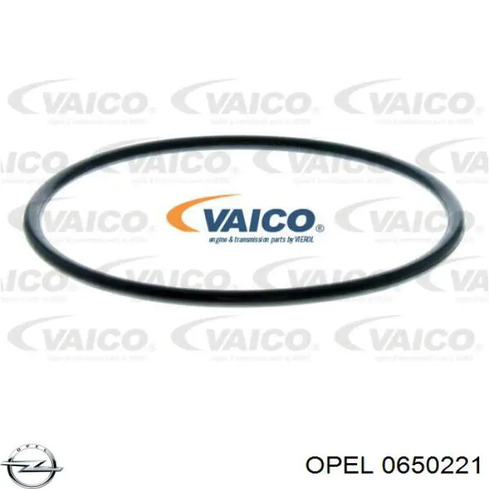 Масляний фільтр 0650221 Opel