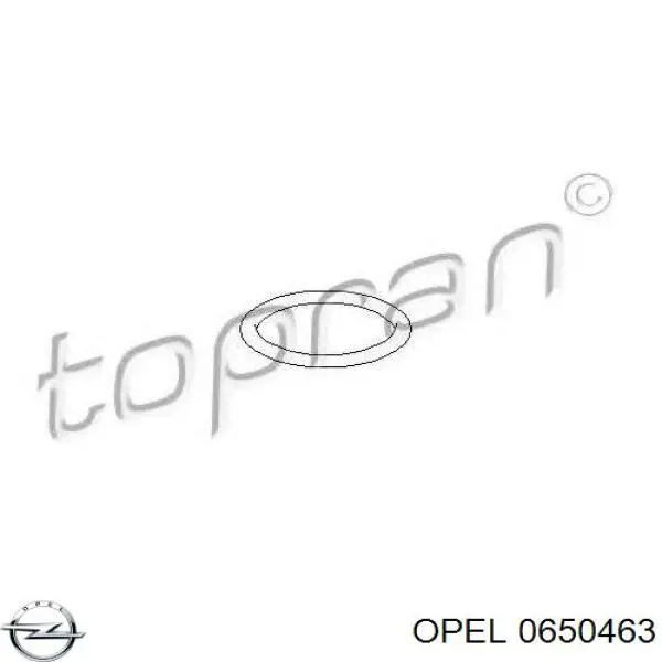 0650463 Opel прокладка кришки горловини, маслозаливної