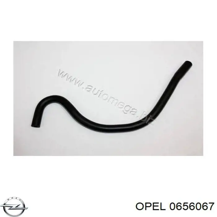 Купити 0656067 Opel Шланг для видалення повітря