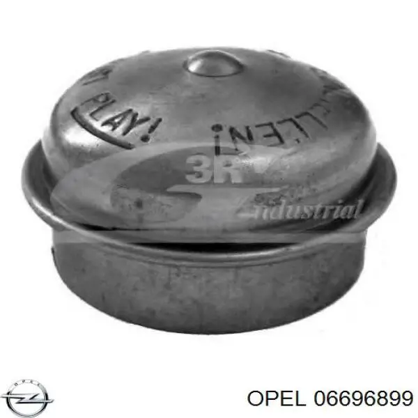 Заглушка маточини Opel 06696899 ціна, від 1.17 USD