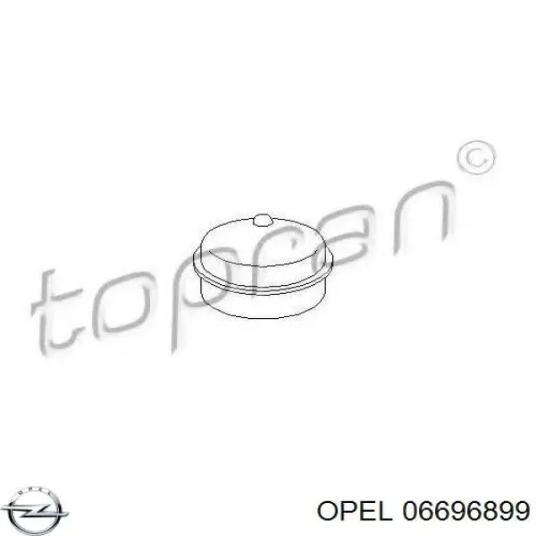 Купити 06696899 Opel Заглушка маточини