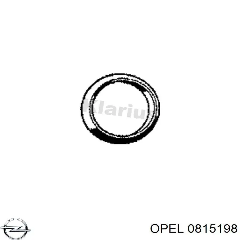 0815198 Opel Регулятор тиску палива