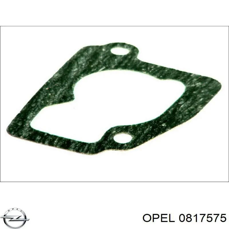 Купити 0817575 Opel Прокладка головки інжектора