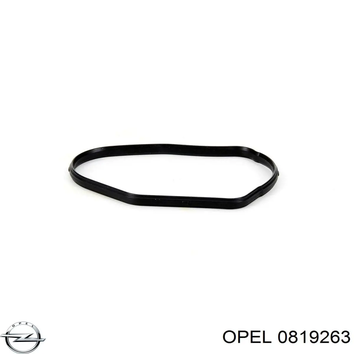  819263 Opel