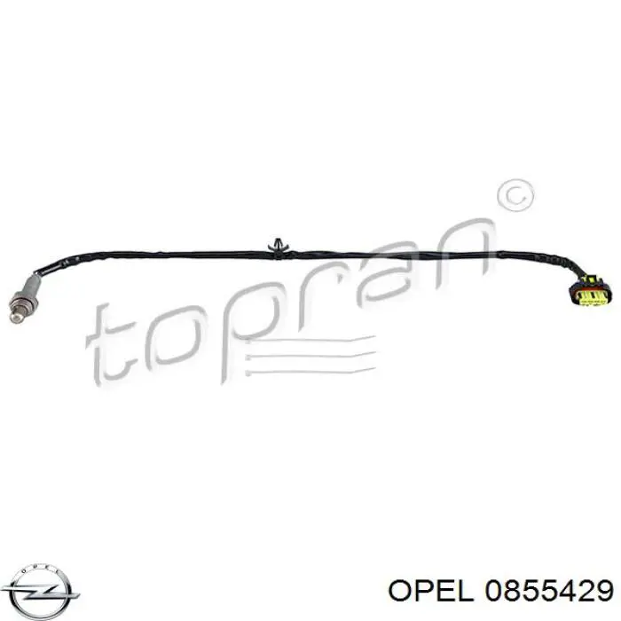 Купити 0855429 Opel Лямбда-зонд, датчик кисню після каталізатора