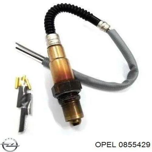 Купити 466016355015 Magneti Marelli Лямбда-зонд, датчик кисню після каталізатора