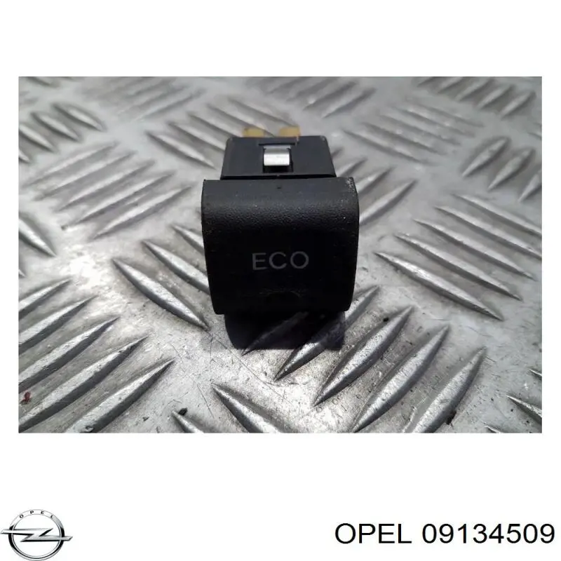 09134509 Opel 