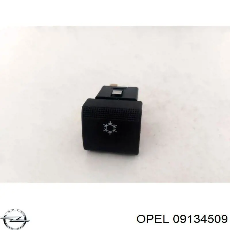 Купити 09134509 Opel 