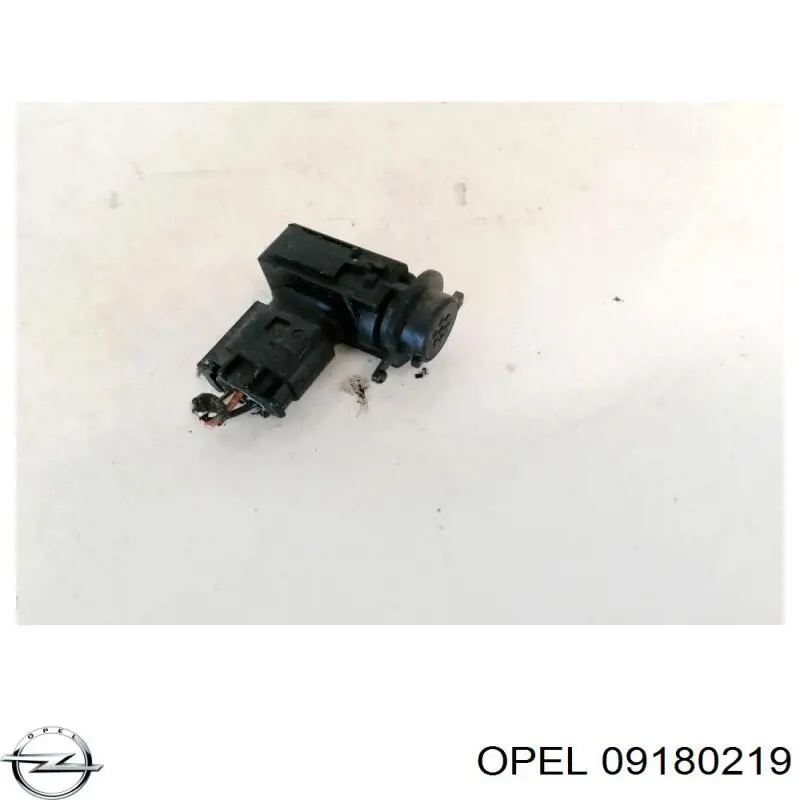Купити 09180219 Opel 
