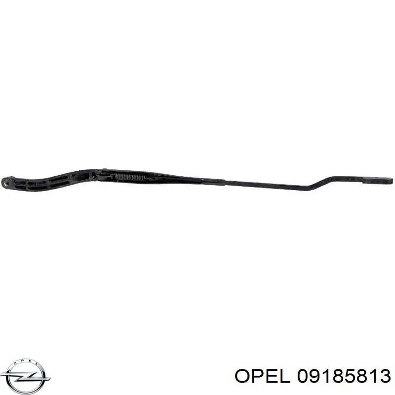 Купити 09185813 Opel 