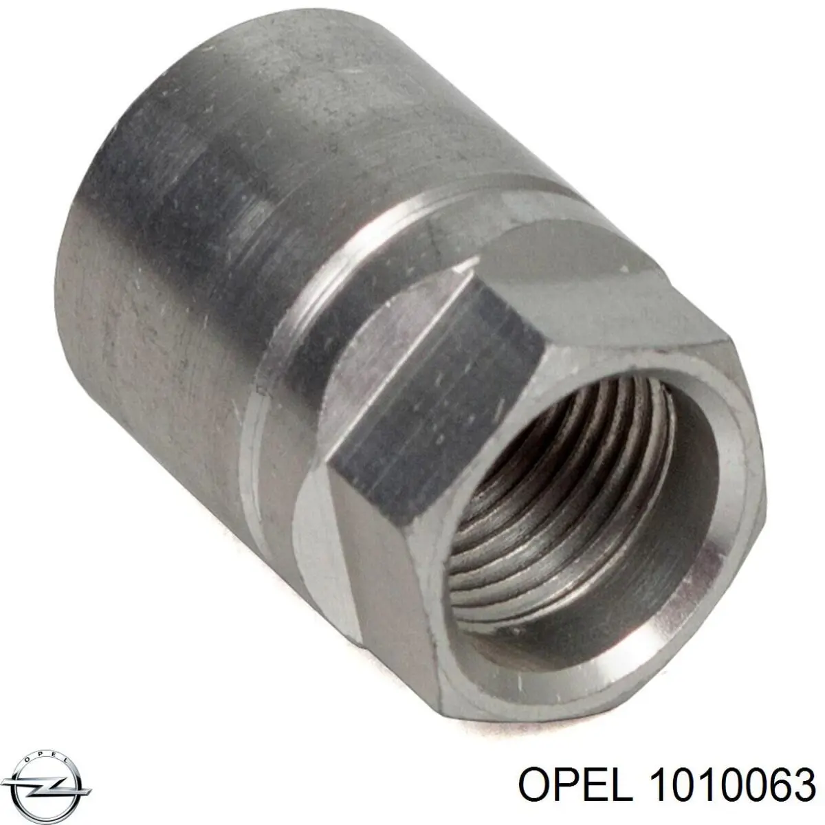 Датчик тиску повітря в шинах Opel 1010063