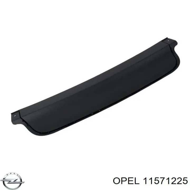 Купити 11571225 Opel 