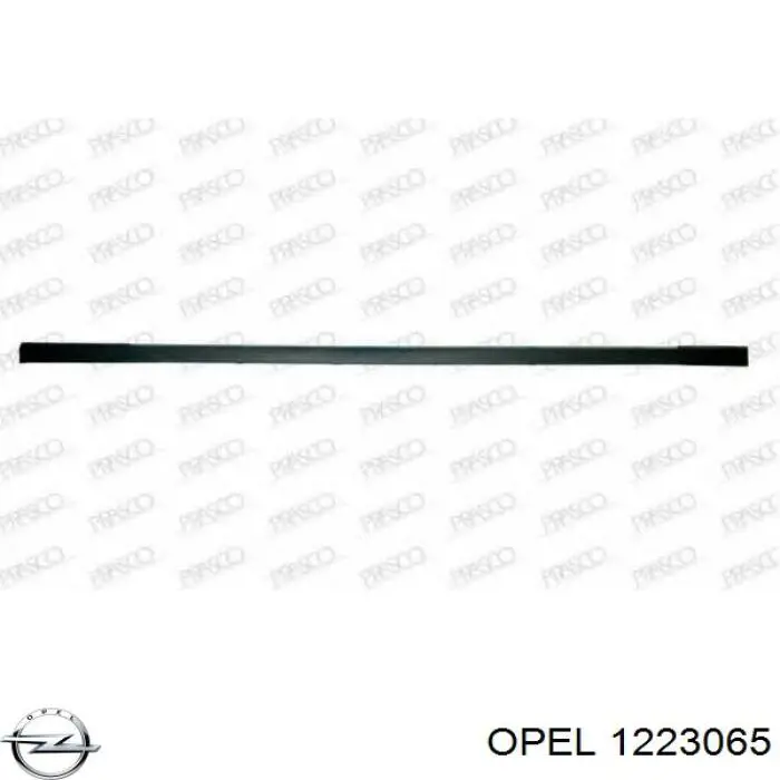 Купити 1223065 Opel Задня права фара