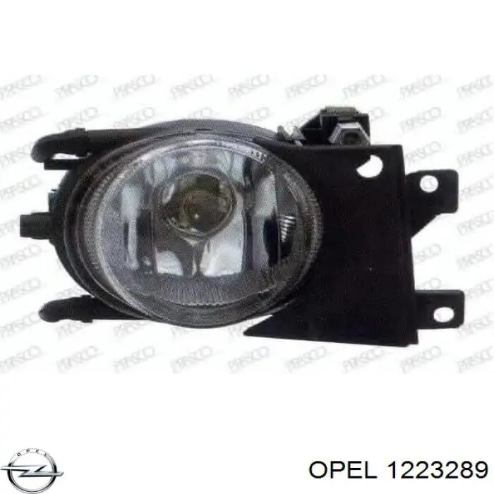 13440452 Peugeot/Citroen Решітка переднього бампера, ліва
