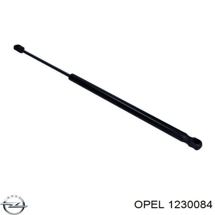  Opel 24436443 ціна, від 8.21 USD