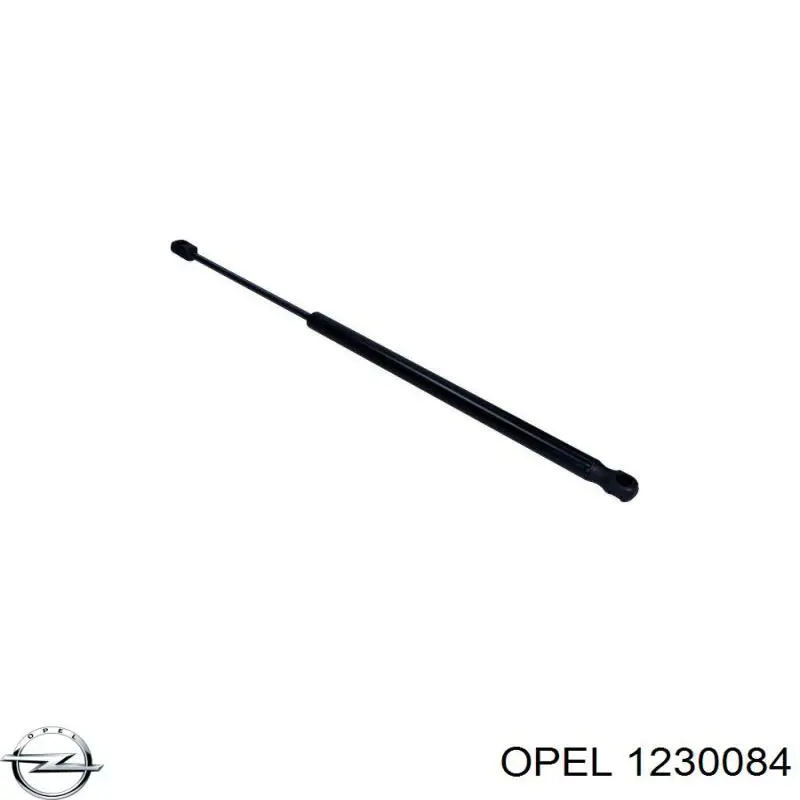 24436443 Opel 