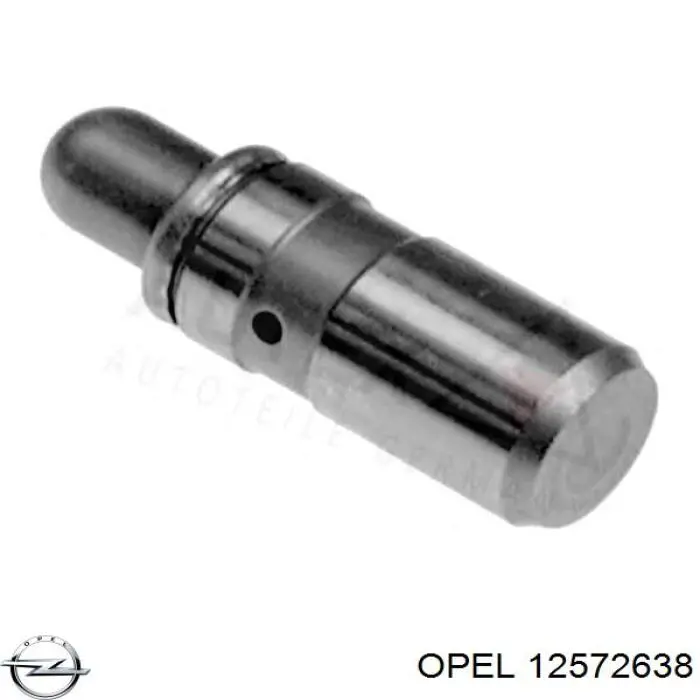 12572638 Opel Гідрокомпенсатор
