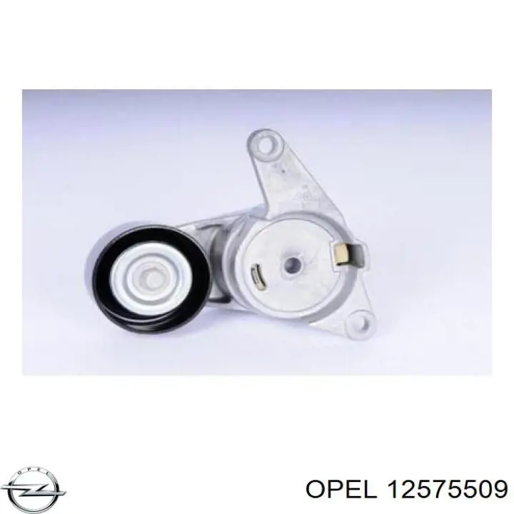 Купити 12575509 Opel Ролик приводного ременя, паразитний