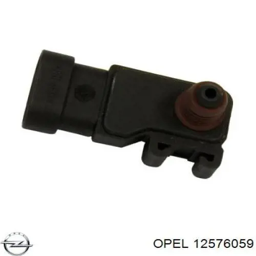 Купити 12576059 Opel Повітромір