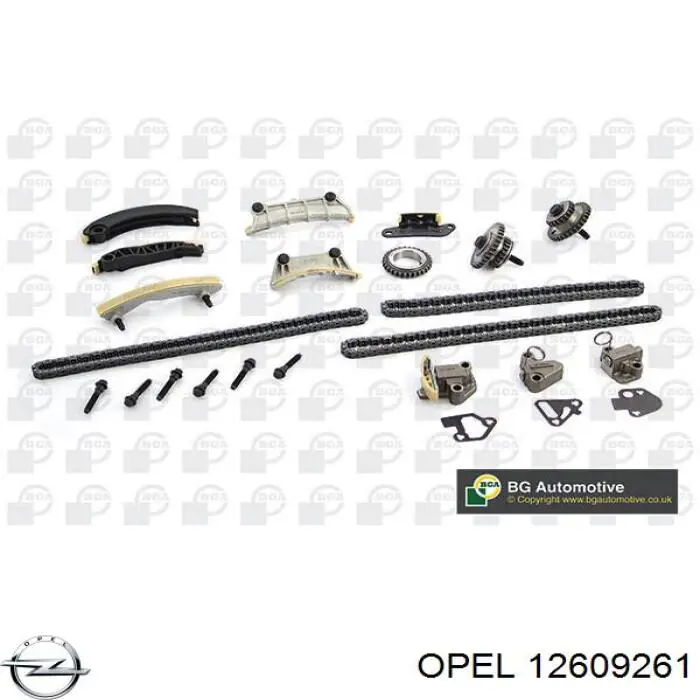 Натягувач ланцюга ГРМ, лівий Opel 12609261 ціна, від 42.70 USD