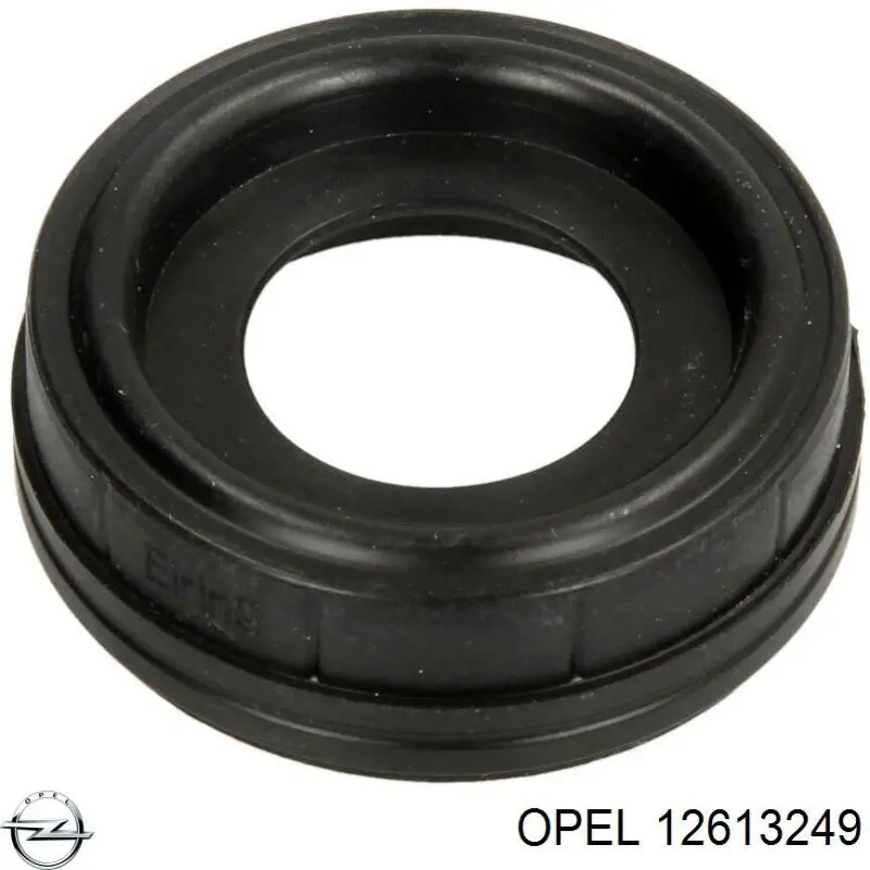  12613249 Opel