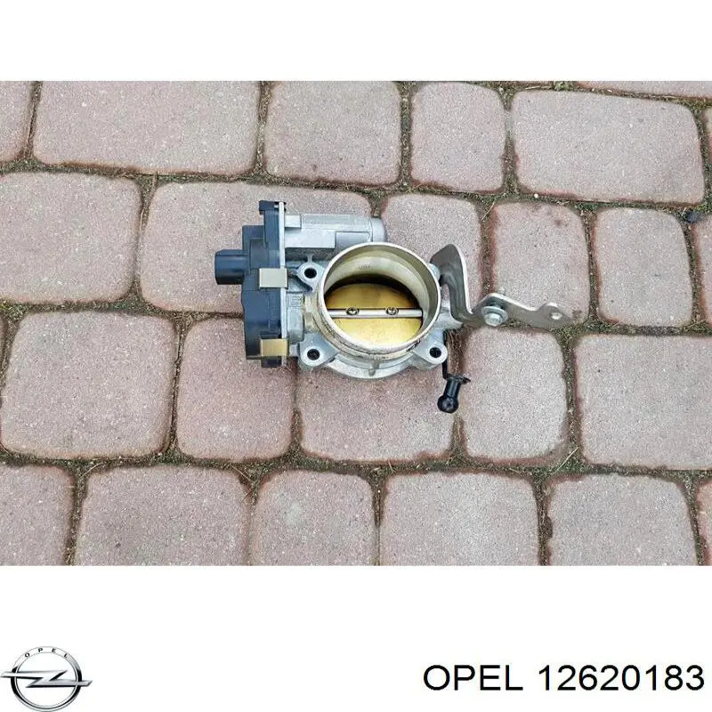 Купити 12620183 Opel Дросільна заслінка
