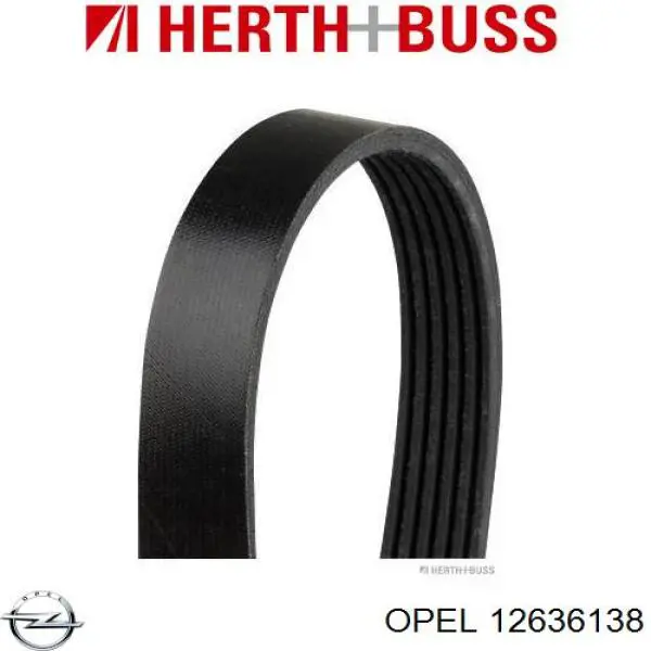 Клиновий ремінь Opel 12636138 ціна, від 24.38 USD