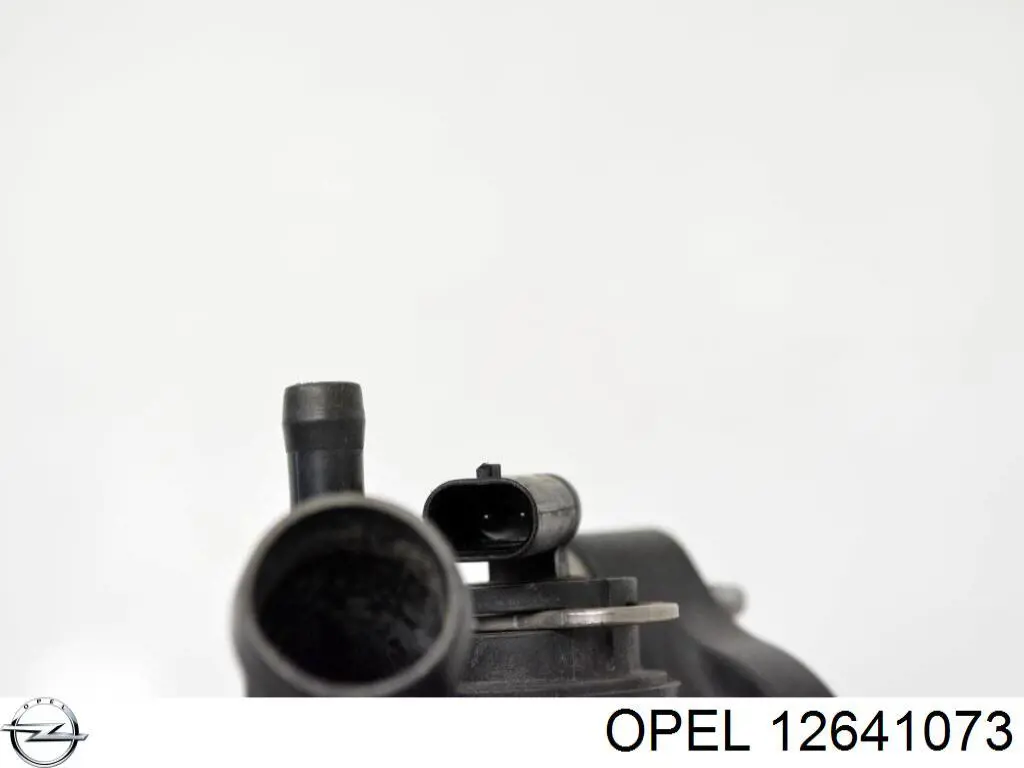  12641073 Opel