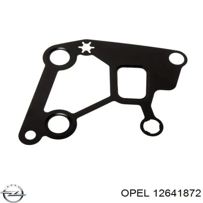 Прокладка водяної помпи 12641872 Opel