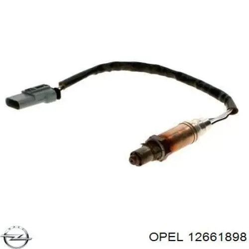 Купити 12661898 Peugeot/Citroen 