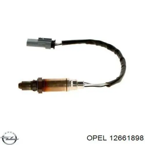 12661898 Opel