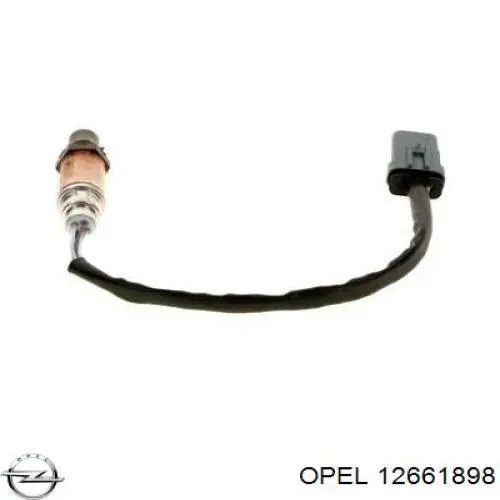  12661898 Peugeot/Citroen