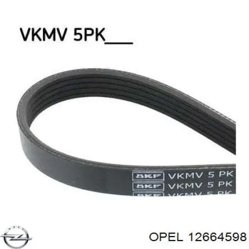 Купити 12664598 Opel Ремінь генератора