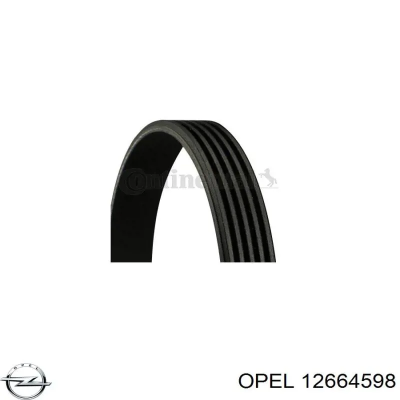 Клиновий ремінь Opel 12664598 ціна, від 9.57 USD