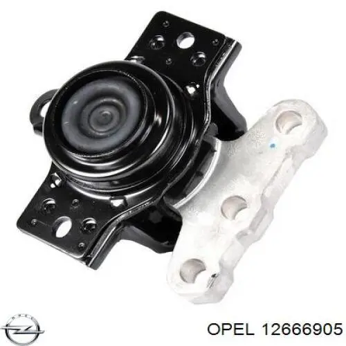 Купити 12666905 Opel 