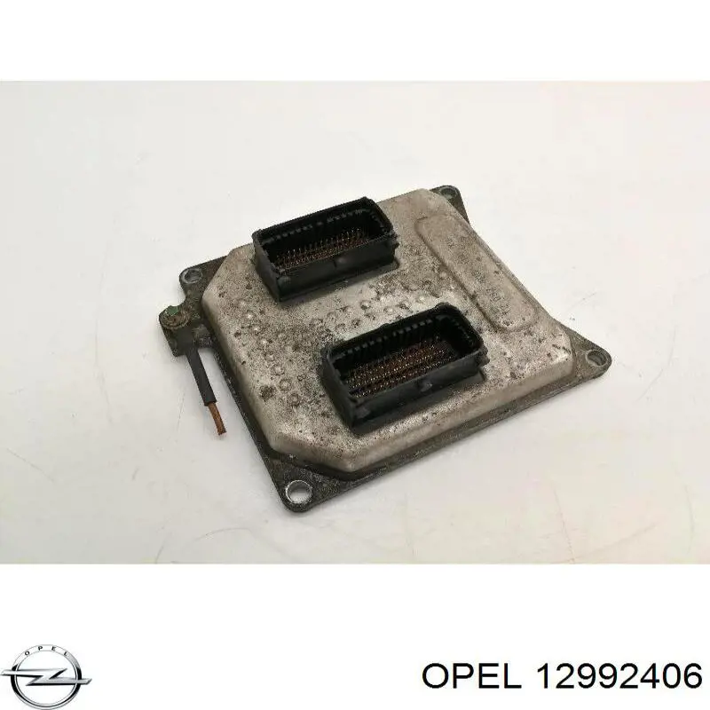 12992406 Opel Блок електронного управління
