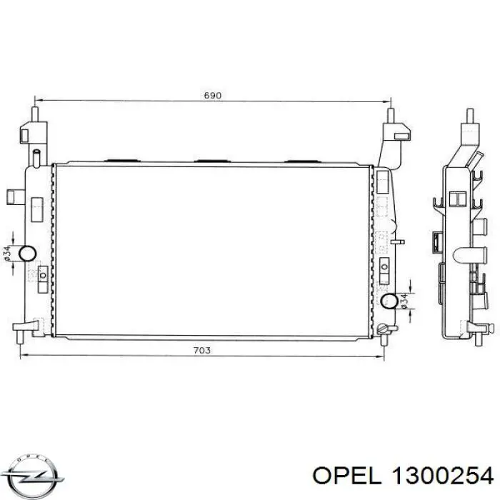 1300254 Opel Радіатор охолодження двигуна