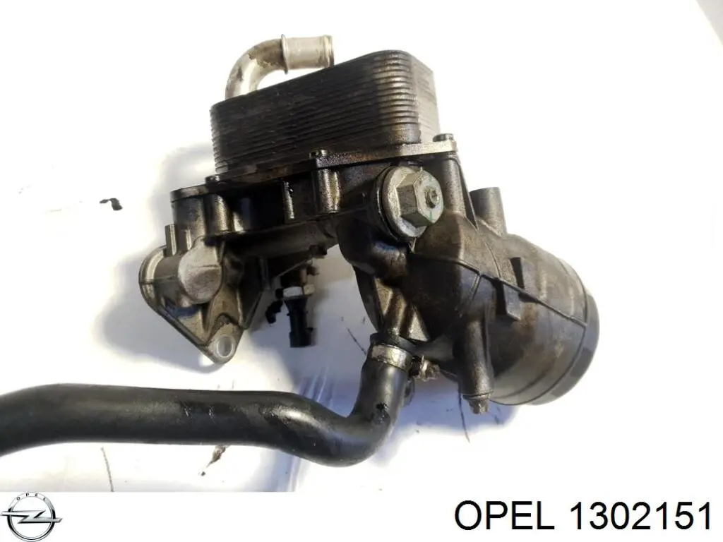 1302151 Opel радіатор масляний