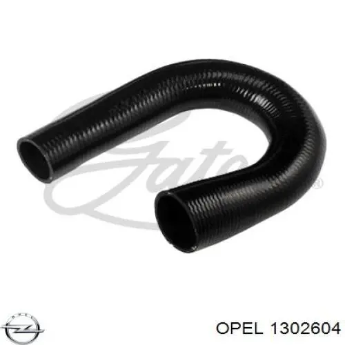 Купити 24406722 Opel Шланг/патрубок интеркуллера